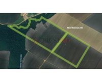 Fazenda Barreiro Groslândia 242ha - Tapurah/MT