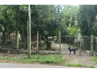 Casa em leilão com 94m² e 301m² de terreno em Guaíba/RS