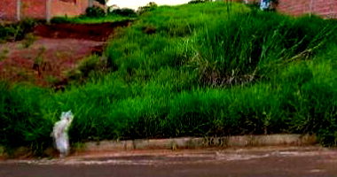 Terreno com 208m² de área total, área privativa mínima