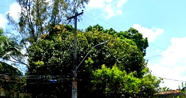 Casa em Recife com 3.181m² de Terreno e 202m² Construída