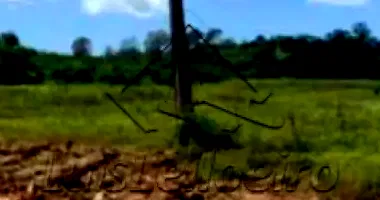 Terreno com 300m² em Cabo de Santo Agostinho/PE