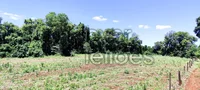 Imóvel Rural com 62.500m² em Três de Maio - RS