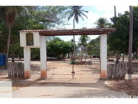 Área Rural com 236,19 hectares em Gualdrapas - Oportunidade Única
