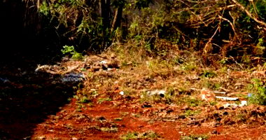 Terreno com 250m² em Cambé/PR