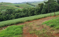 Terreno Rural amplo com 242.000m², área total