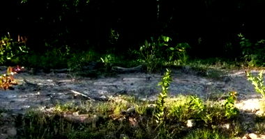 Fazenda Riacho do D'Ouro com 140,59 hectares