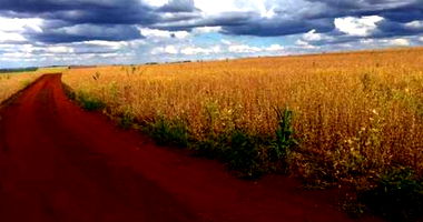 Terreno Rural com 10.082,32 m² em Rolândia/PR