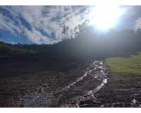Terreno Rural com 37.540m² em Muliterno/RS