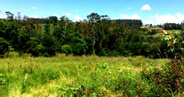 Terreno Urbano amplo com 2016 m², sem benfeitorias