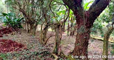 Espaçosa Chácara Rural com 3.229m² de Área Total e Benfeitoria de 62m², Ocupada