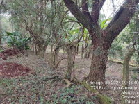 Espaçosa Chácara Rural com 3.229m² de Área Total e Benfeitoria de 62m², Ocupada