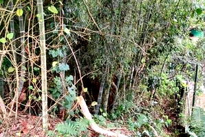 Terreno Residencial de 1.364m² em São Roque - Oportunidade Única!