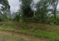 Terreno urbano de 2.500m² no Bairro Cadiz, Gravataí/RS