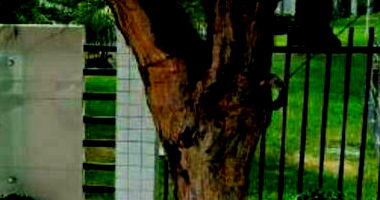 Apartamento 2 Quartos com 2 Vagas em Parque Iracema