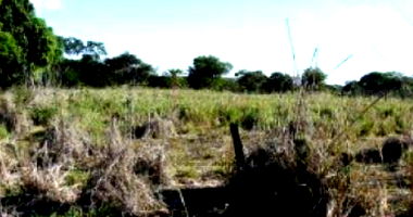 Área Rural com Edificações em Juara/MT