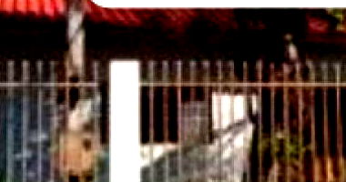 Casa com 63 m² em Iguaraçu - Conjunto Arnaldo Souza Miranda