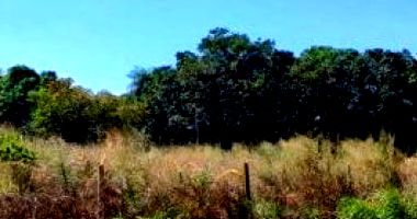 Terreno com 360 m² em Parque Flamboyant