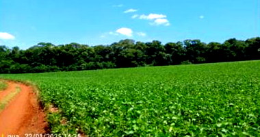 Terreno Rural com 9,480 ha em Redentora - RS