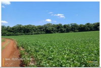 Terreno Rural com 9,480 ha em Redentora - RS