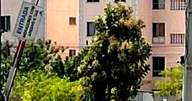 Apartamento com 2 quartos em Feira de Santana/BA