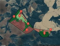 Área Rural de 32,12 Alqueires em Luiziana - PR