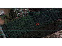 Lote de Terras Rural em Corbélia/PR - 20.000m²