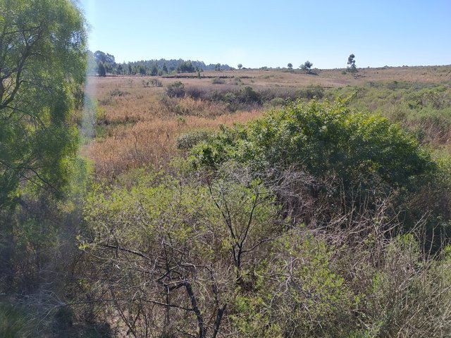 Terreno de 3.127,48m² com potencial para investimento