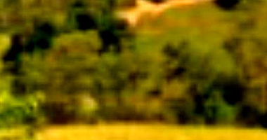 Imóvel Rural com 125.000 m² em Braço do Trombudo/SC