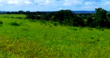 Imóvel Rural com Casa em 4,78 hectares, terreno mecanizável