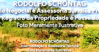Terreno Rural 5 hectares em Araripina - Excelente oportunidade