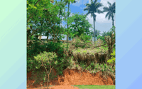 Terreno 329m² em Muriaé/MG - - Oportunidade de Investimento