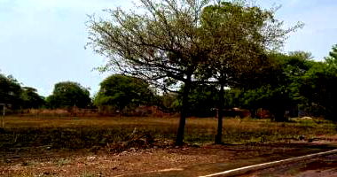 Terreno com 445,57 m² em Araguacema, Tocantins