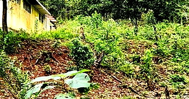 Terreno Colonial em Riqueza/SC com 9.990 m²