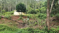 Terreno Colonial em Riqueza/SC com 9.990 m²