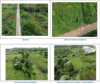 Terreno industrial com 8.662m² em área estratégica