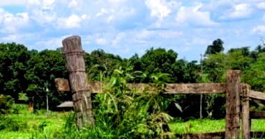 Fração de 4,84 ha em Novo Horizonte do Oeste/RO