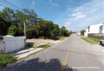 Terreno urbano de 490m², plano, sem benfeitorias