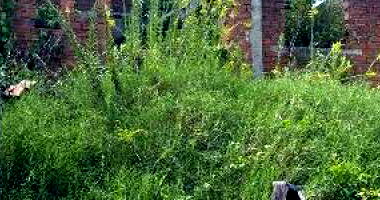 Terreno em Santo Afonso com 250m²