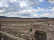 Fazenda rural com 250,96 hectares em Dianópolis/TO - Oportunidade única!