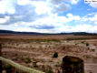 Fazenda rural com 250,96 hectares em Dianópolis/TO - Oportunidade única!