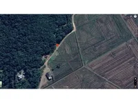 Terreno Rural em Paulo Lopes/SC com Benfeitorias