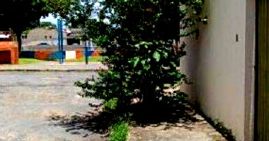 Casa em Uberlândia com 2 quartos e 72m² de terreno