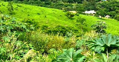 Terreno Urbano com 375m² em Tomazina - PR