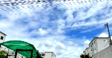 Apartamento em Salvador com 1 quarto