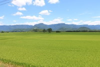 Gleba Rural de 4 hectares em Araguari/MG