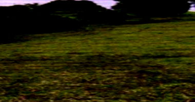 Chácara Urbana com 19.789,41 m² em Colorado do Oeste/RO