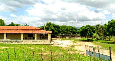 Dois Lotes de Terras no Sítio Lagoa Redonda - Oportunidade!