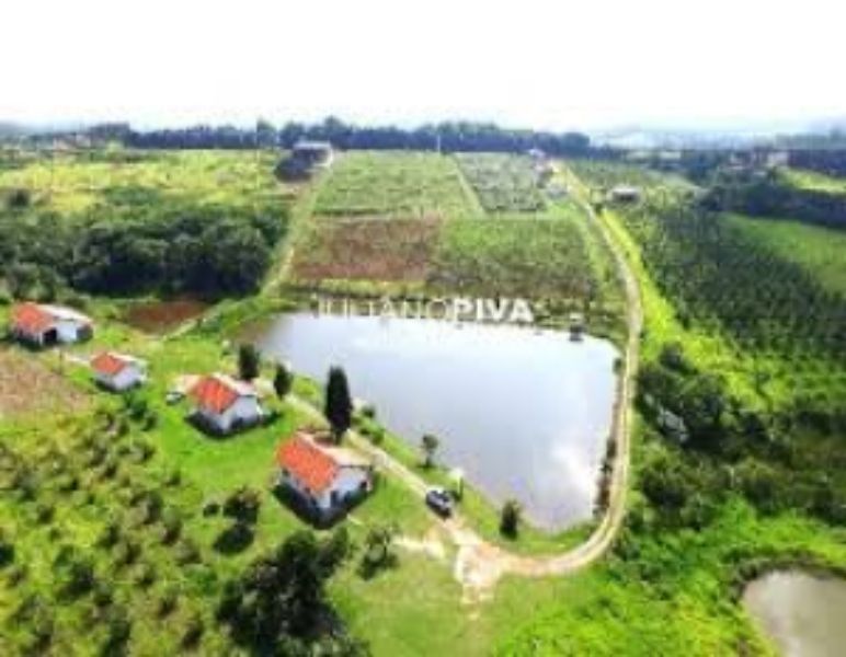 Terreno com benfeitorias: 1 casa madeira 48m² + 5 casas alvenaria 84m²