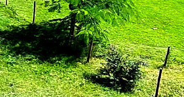 Fazenda com Abundância de Água em Uberaba/MG - 63,8ha