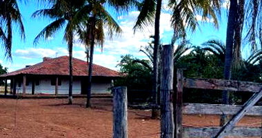 IMÓVEL RURAL COM 335 HECTARES EM PADRE BERNARDO-GO